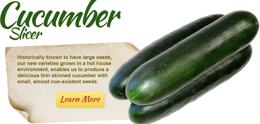 slicer_cucumber